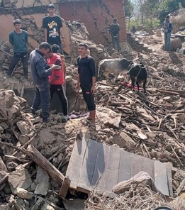 PageImage-496063-4427021-PublicacionsEditades16.jpg